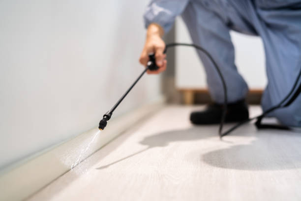 Professional exterminator conducting IPM assessment in Bonanza